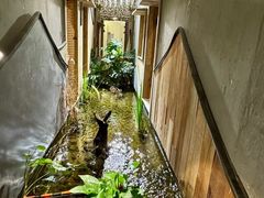 -邈墨茶馆(凤起路店)