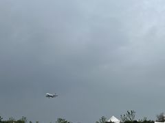 -空港花田景区