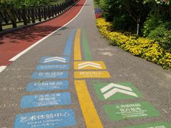 -上海长兴岛郊野公园