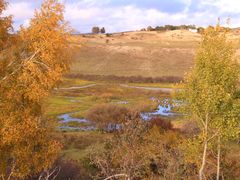 -塞罕坝国家级自然保护区