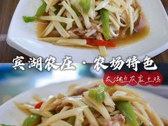 -宾湖农庄·农场特色(太湖龙之梦店)