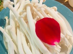 -青瓷火锅料理(西单大悦城店)