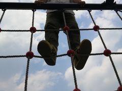 -小鱼草莓采摘园农家乐·小鱼餐厅