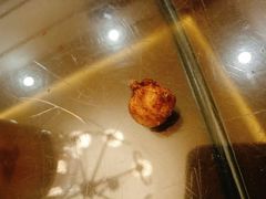 -巢湖名吃·东关老鹅汤(江南风情街店)