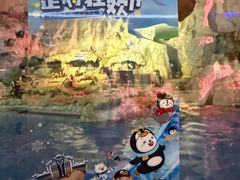 -帝企鹅自助餐厅•儿童岛•真企鹅(长隆企鹅酒店)