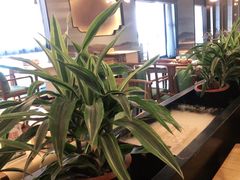 -素慧餐厅(大虹桥店)