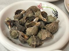清蒸海螺-北戴河庆山饭店·海鲜砂锅粥(北戴河黑石路店)