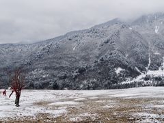 -硗碛藏寨·神木垒景区