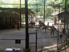 -石燕湖生态旅游景区