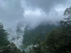 -九华山风景区