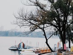 -莲湖公园