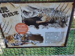 -青藏高原野生动物园