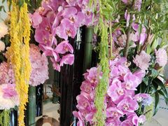 -浅深Cheersum(曹杨店)