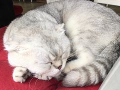 -MIKAKU(万达广场上海宝山店)