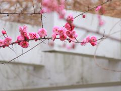 -东林广场(地铁站)