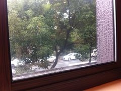 旭龙鱼头王-旭龙鱼头王(航华店)