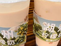 -猫的魔法密林(衣裳街店)