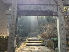 -午潮山国家森林公园