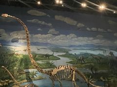 -自贡恐龙博物馆