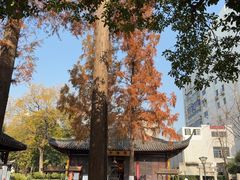 -常州古运河南大街文化旅游区-人民公园