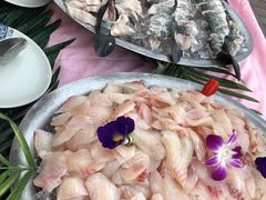 -渔家火锅·海鲜自助餐·演艺(亚龙湾天域酒店)