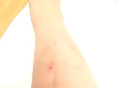 -成都皈徕栖精品酒店(四川大学九眼桥店)