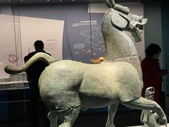 -广西壮族自治区博物馆