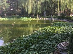 -木塔寺遗址生态公园