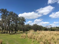 -奥兰多迪士尼动物王国乐园