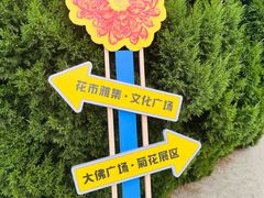 -北京十三陵国家森林公园蟒山景区
