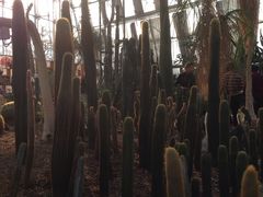 环境-北京植物园-展览温室