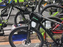 -道路口单车爱瓦士dahon大行