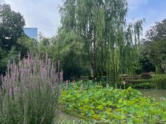 -四川大学(华西校区)