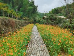 -宁波浙东大竹海景区
