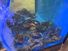 -鲜味食族水产·海鲜餐厅