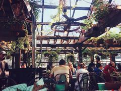 -The Grounds of Alexandria