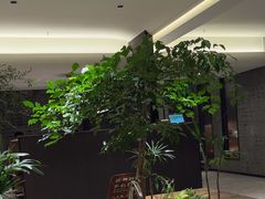 -聚友斋(陶瓷琉璃馆水晶街店)