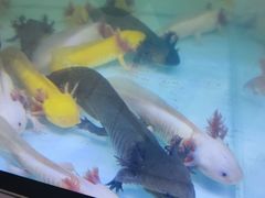 -大润发(姑嫂树店)