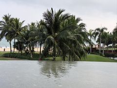 -元素中餐厅.海南菜.粤菜.椰子鸡.海鲜.包房.石梅湾威斯汀度假酒店