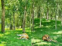 -北京野生动物园