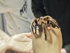 -重庆国际会议展览中心