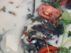 -全乐鱼馆·淳牌有机鱼直营店