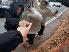 -帽儿山国家森林公园