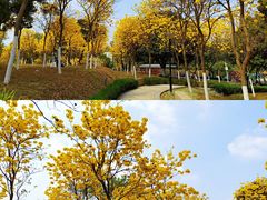 -天河儿童公园