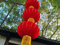 -秋霞圃