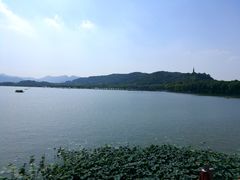 -湖畔居茶楼(湖滨店)