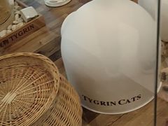 -袖虎·猫馆(体育西路店)