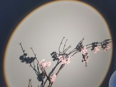 -红星美凯龙(东北全球家居1号店)