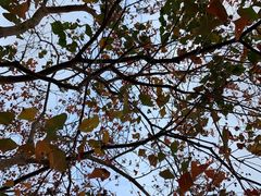 -前小桔亲子创意农场·草莓采摘·露营烧烤