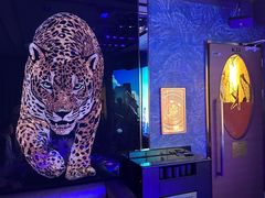 -纯K(打浦桥店)